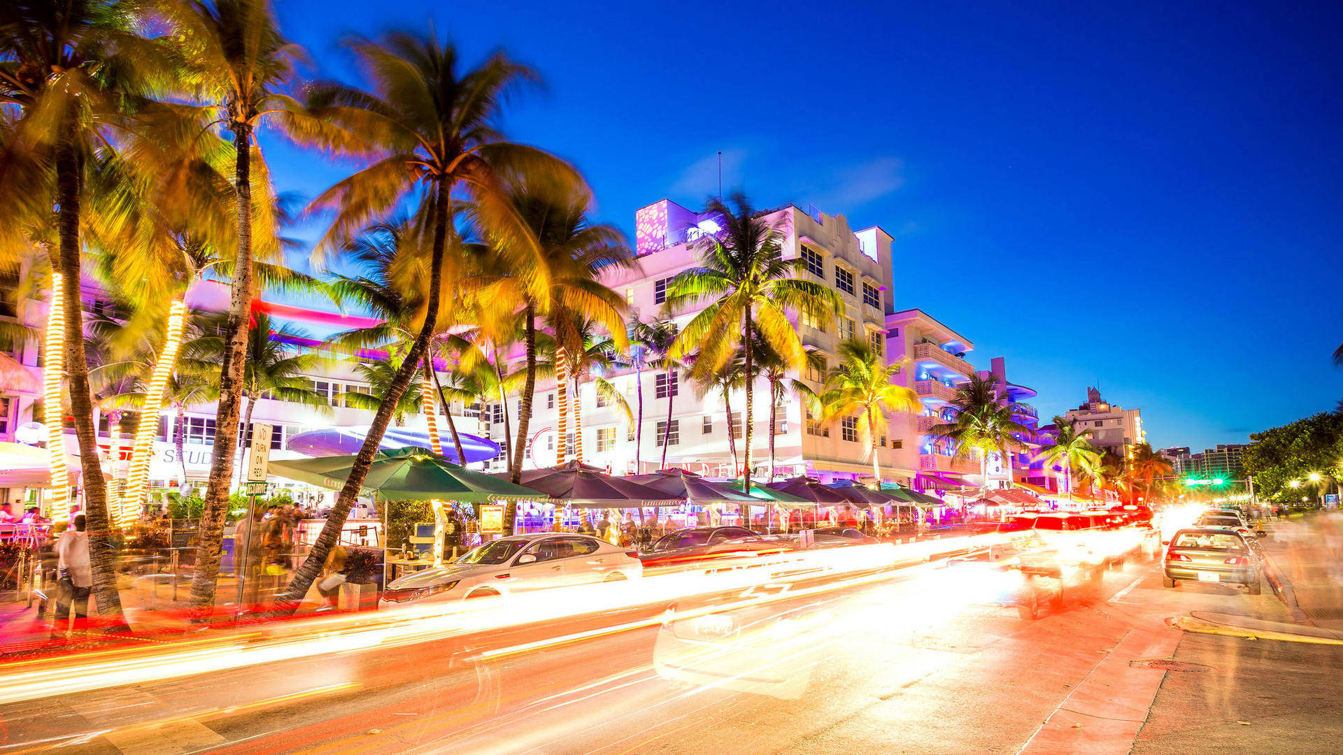 Miami Beach, dusk, palm trees, Full HD Desktop Wallpaper