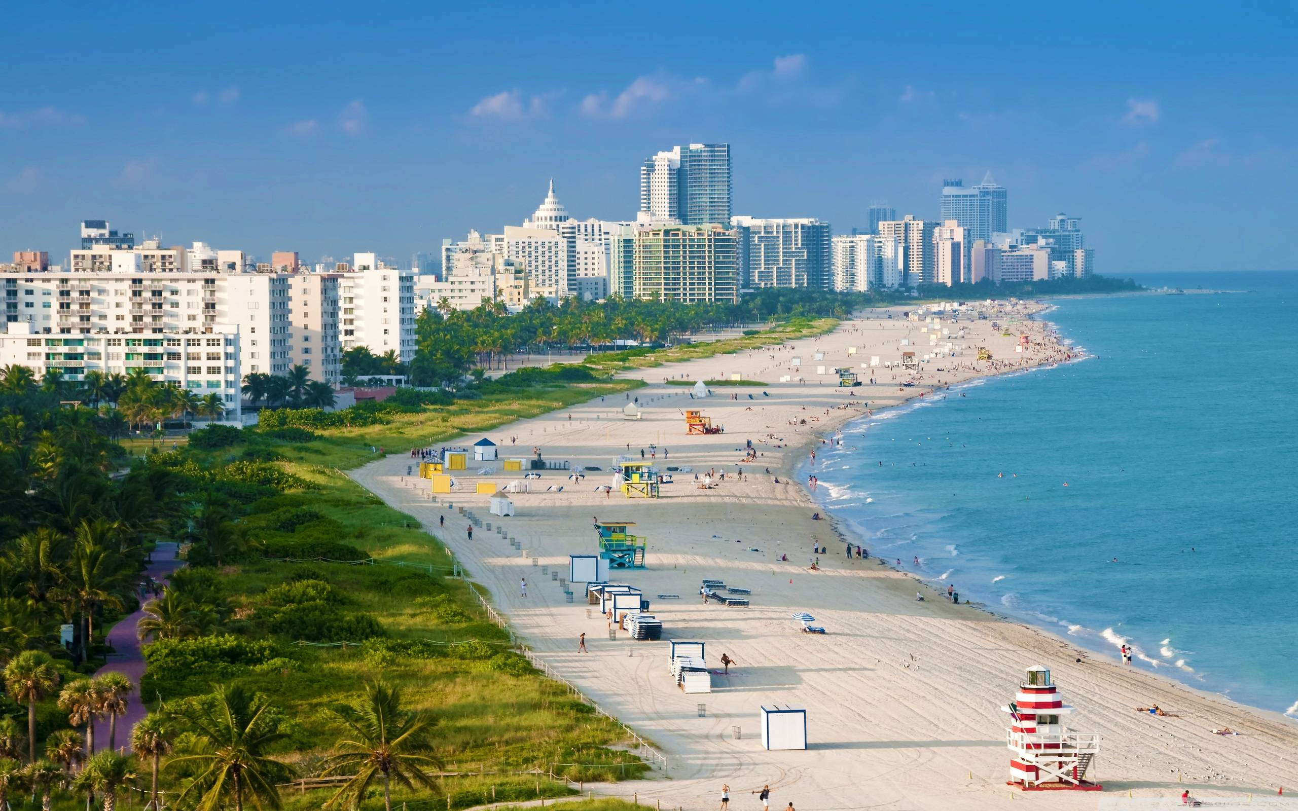 Miami beach, turquoise ocean, palm trees, 2K Desktop Wallpaper