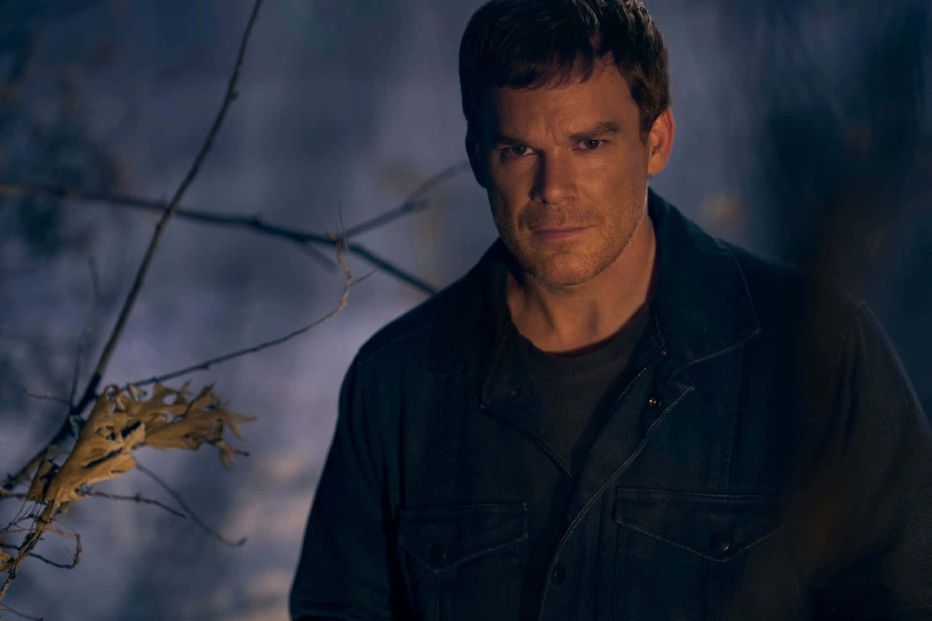 Michael C. Hall, dark jacket, misty forest, Full HD Desktop Wallpaper