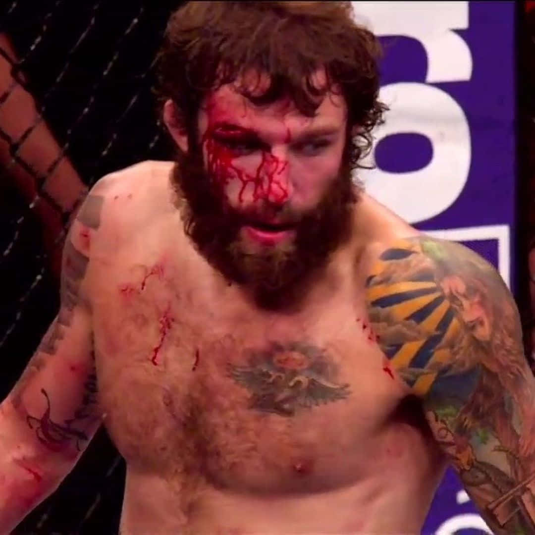 Michael Chiesa, bloody face, bearded fighter, SD Desktop Wallpaper
