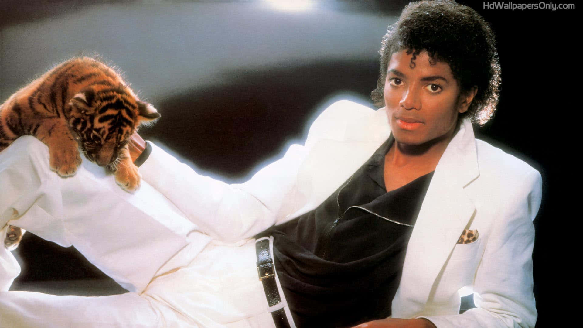Michael Jackson, Thriller, white suit, Full HD Desktop Wallpaper