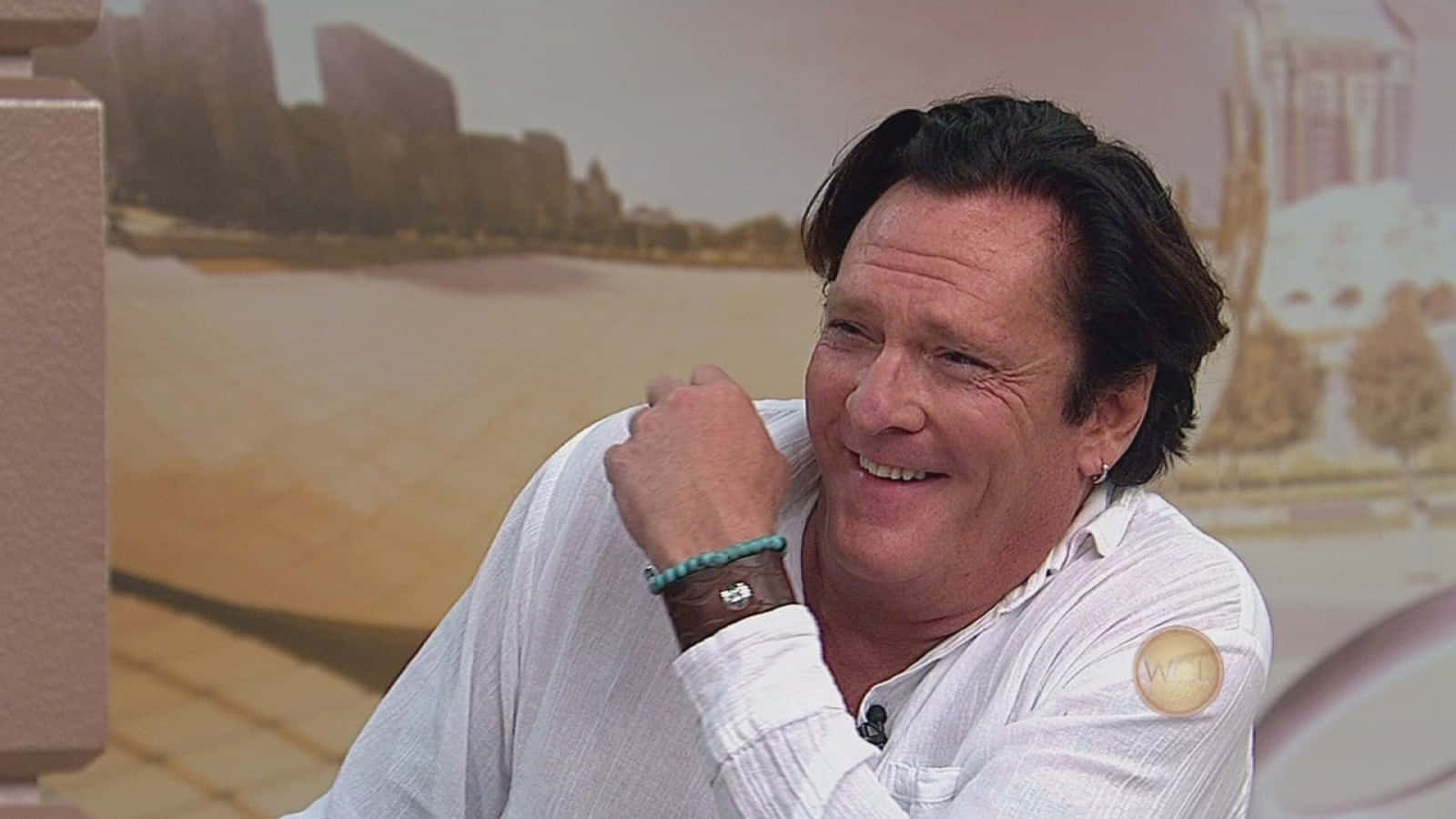 Michael Madsen, white shirt, dark hair, HD Desktop Wallpaper