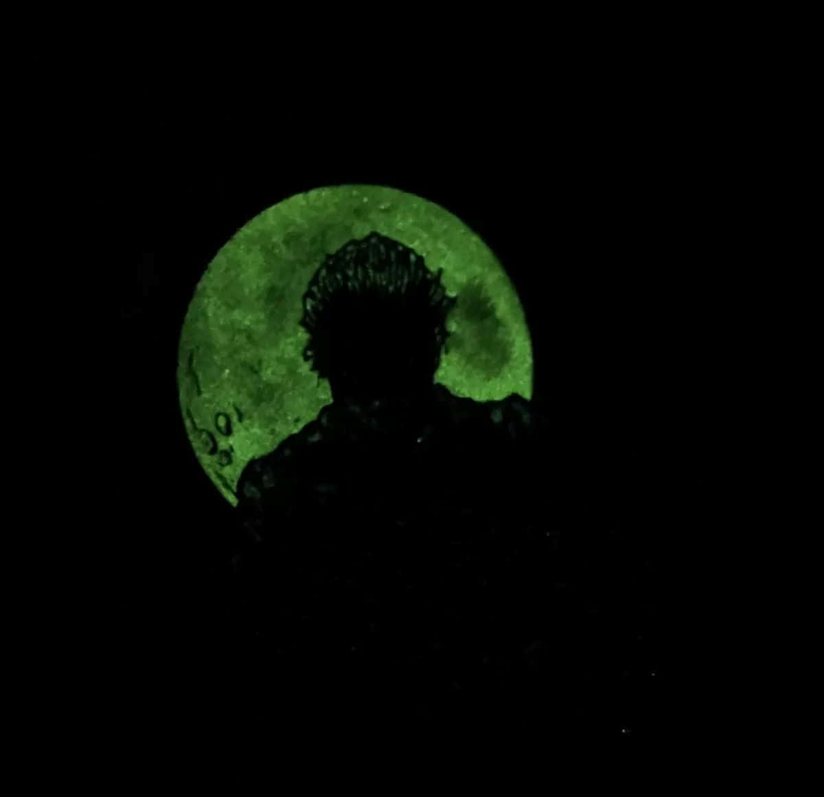 Michael Myers, green moon, silhouette, SD Desktop Wallpaper