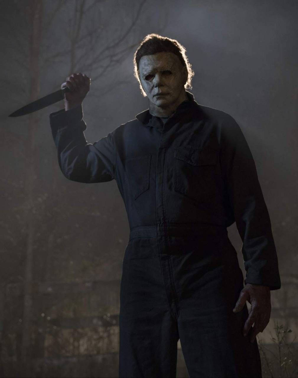 Michael Myers, masked figure, dark coveralls, HD Phone Wallpaper