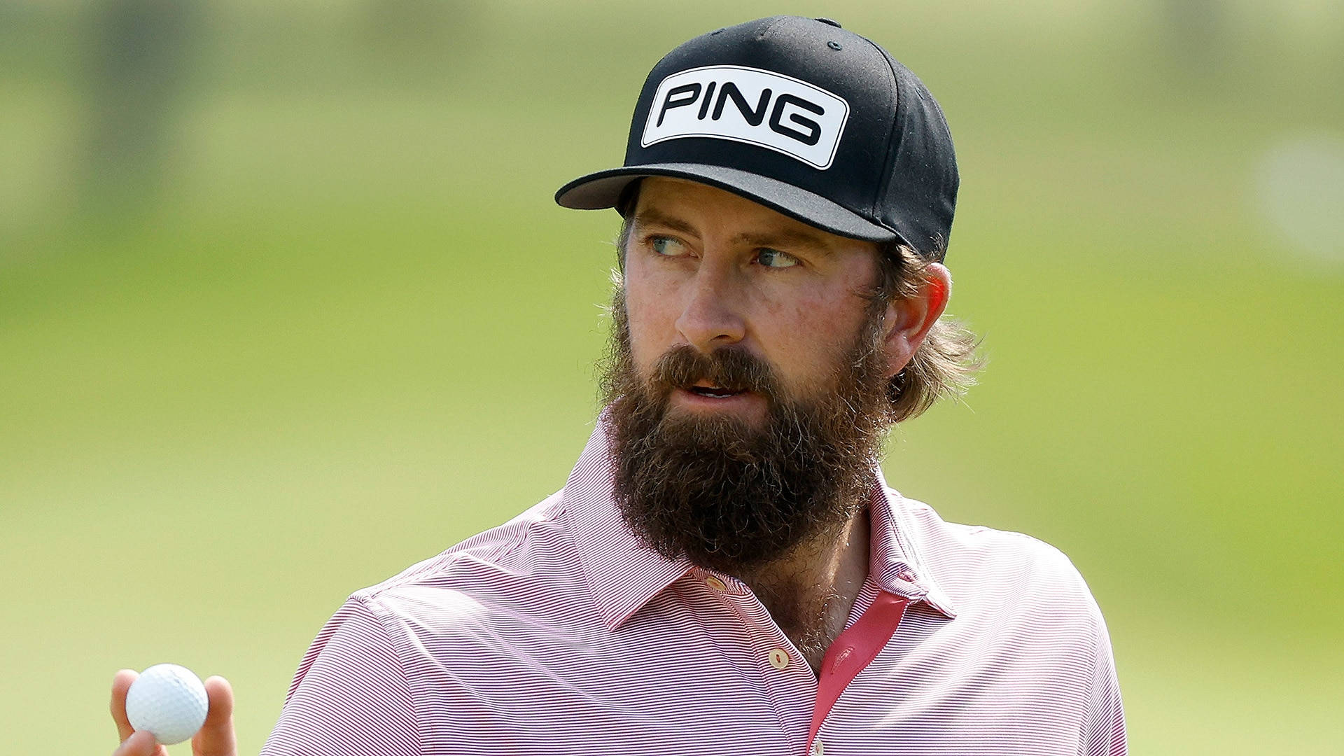 Michael Thompson, pink striped shirt, black PING cap, Full HD Desktop Wallpaper