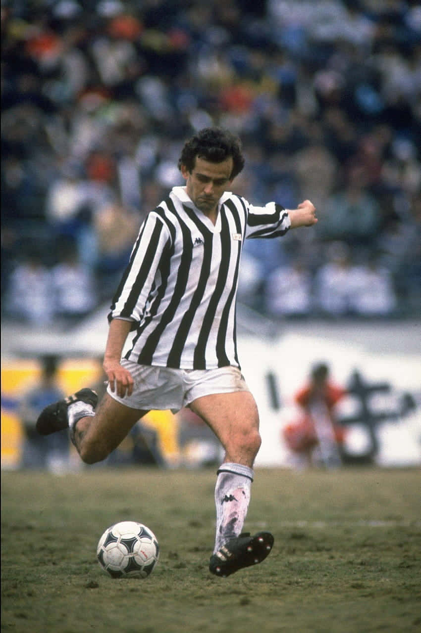 Michel Platini, black and white striped jersey, grass field, HD Phone Wallpaper