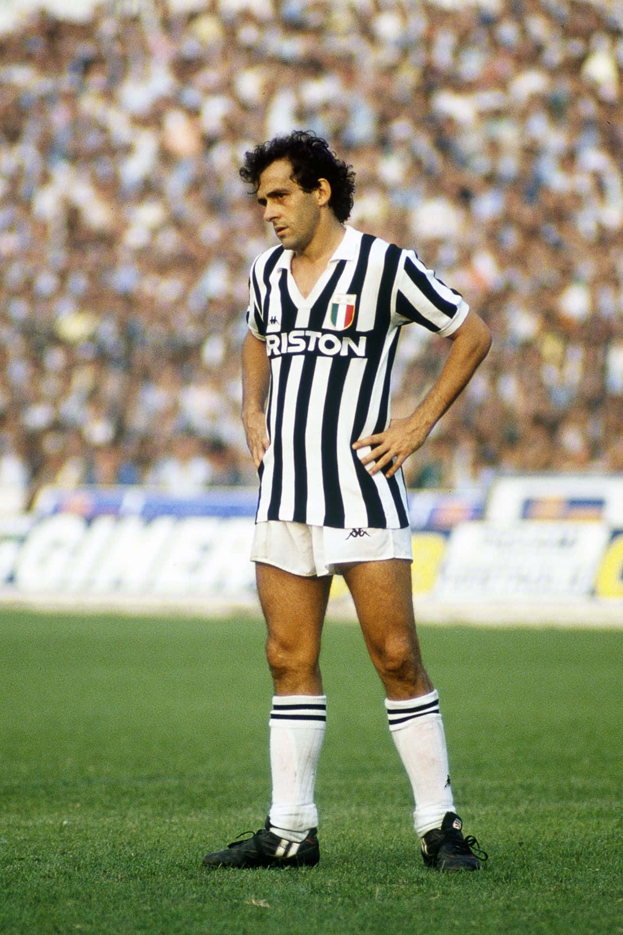 Michel Platini, black and white striped jersey, green pitch, Full HD Phone Wallpaper