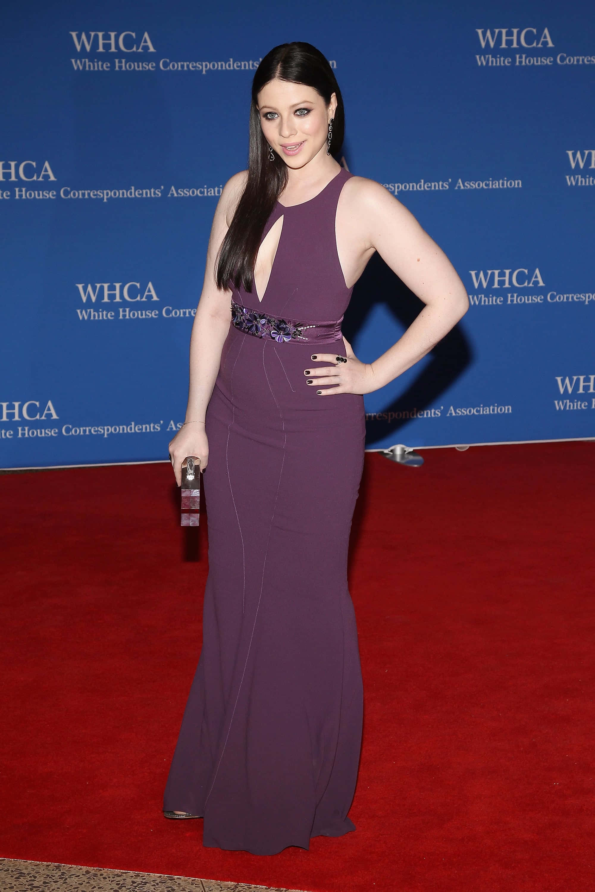 Michelle Trachtenberg, deep purple gown, red carpet, 2K Phone Wallpaper