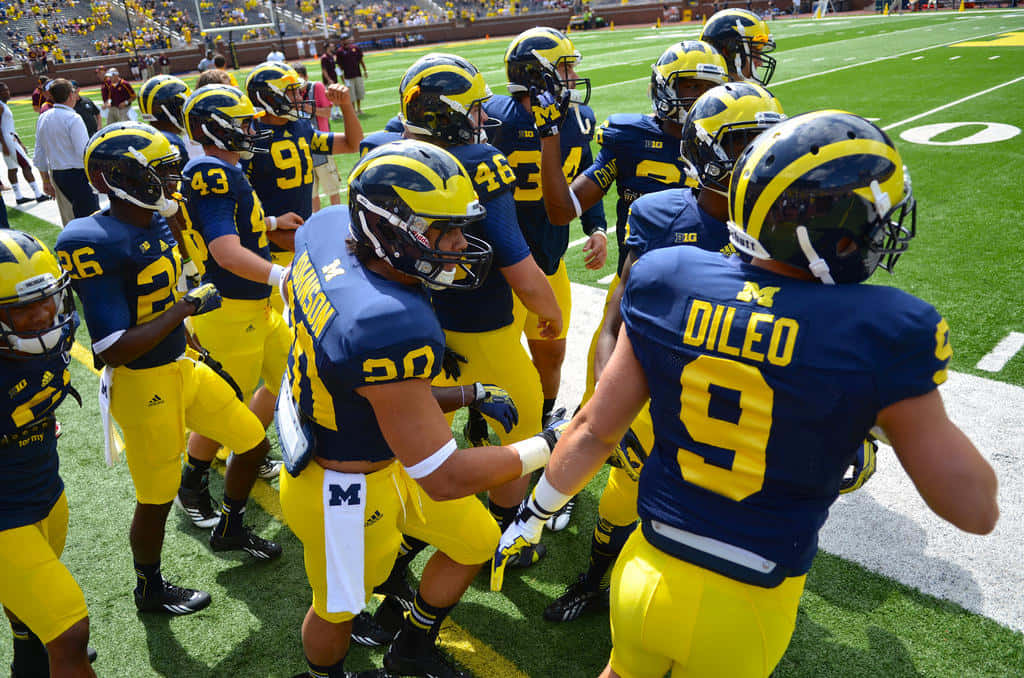 Michigan Wolverines, blue and yellow uniforms, sunlit green field, SD Desktop Wallpaper
