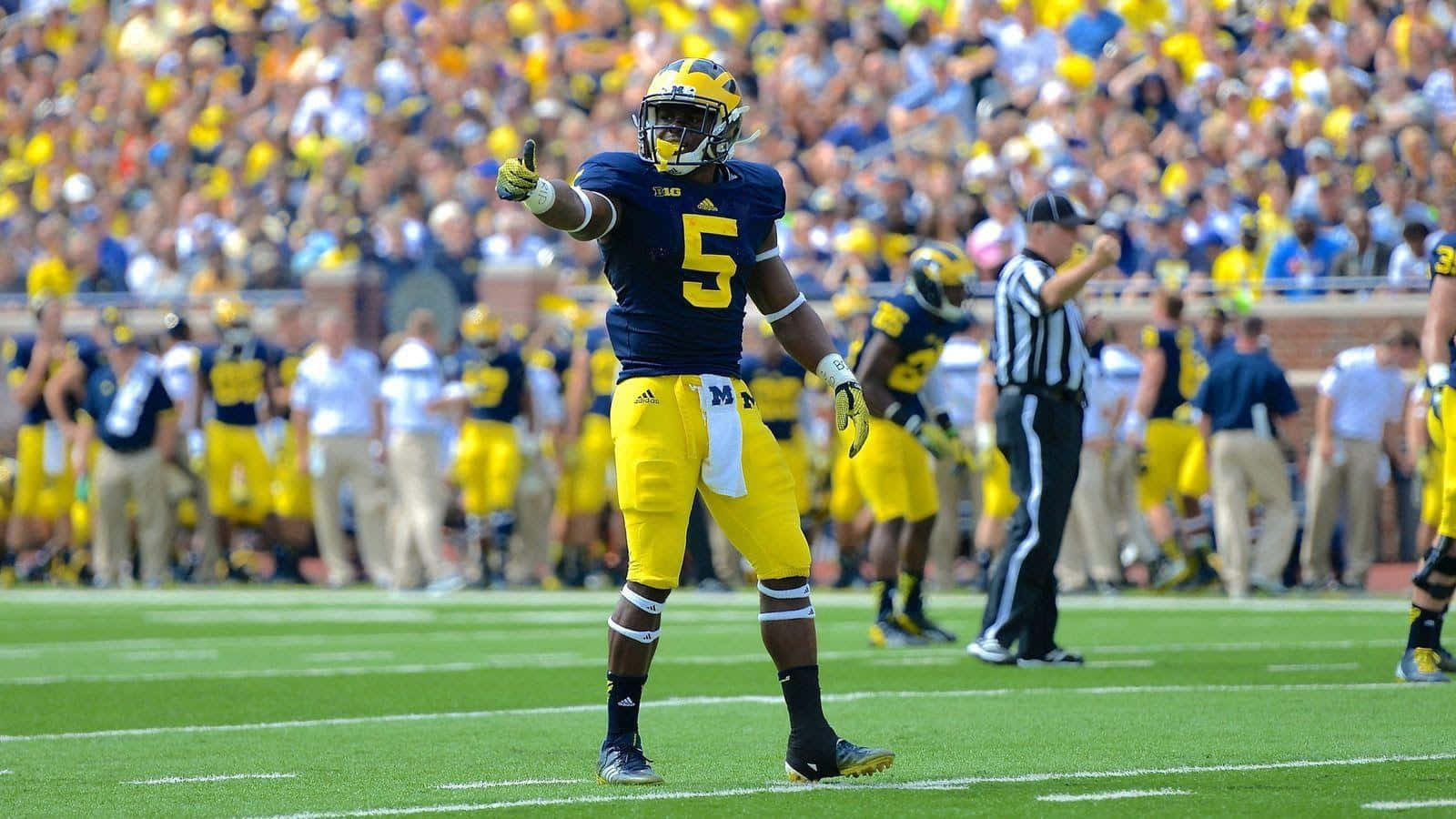 Michigan Wolverines, blue and yellow uniform, sunlit field, HD Desktop Wallpaper