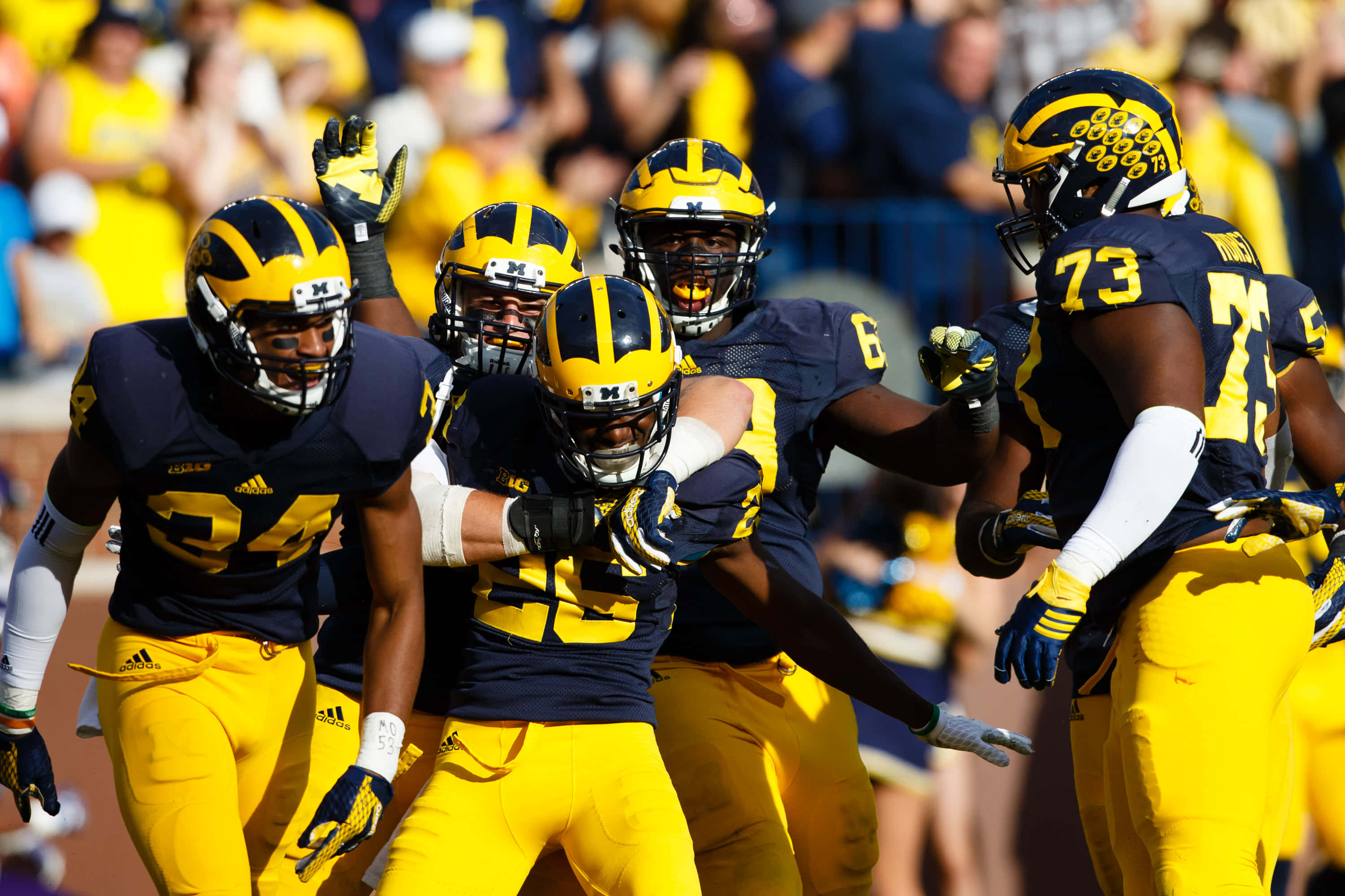 Michigan Wolverines, navy, yellow, 2K Desktop Wallpaper