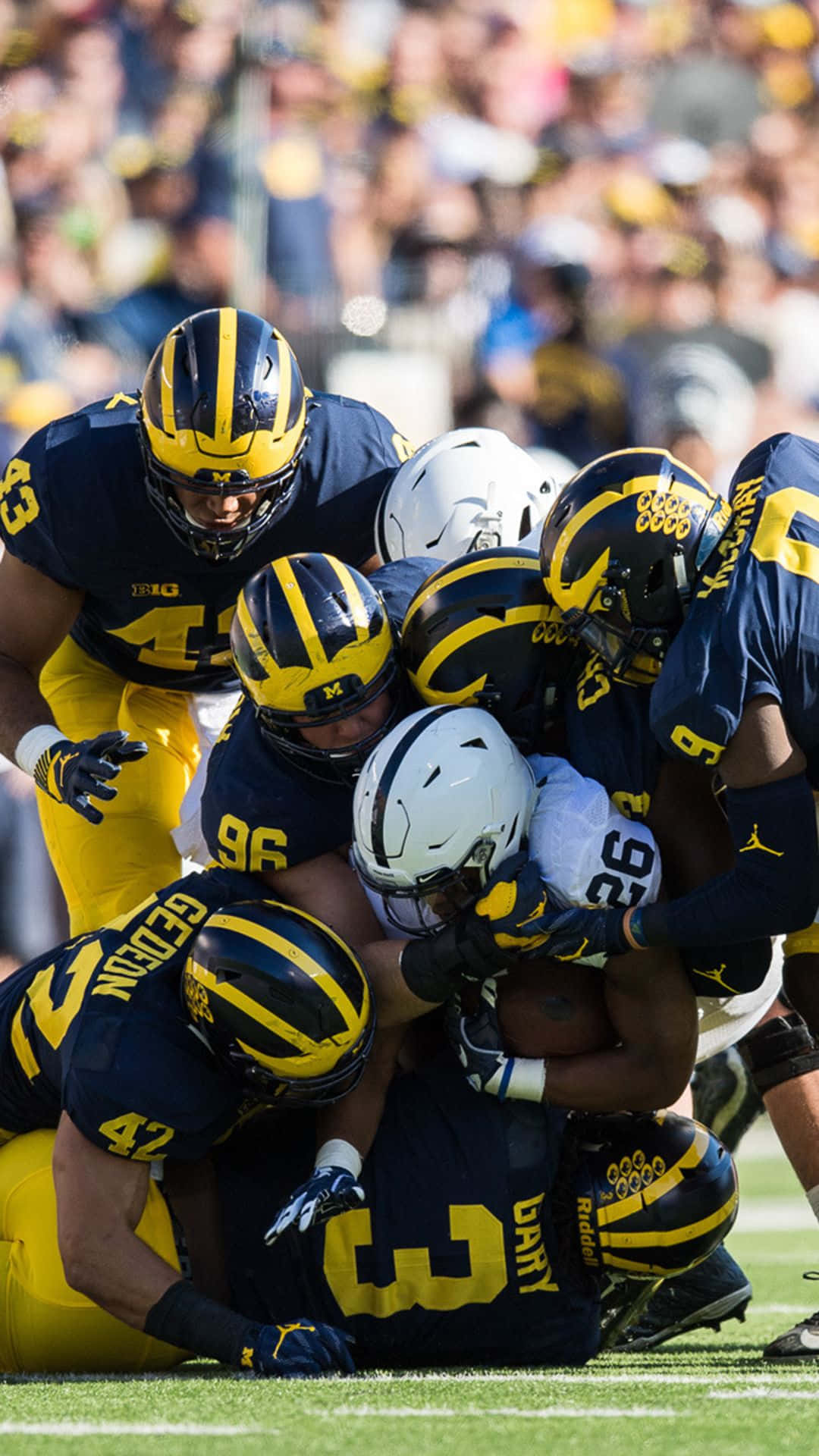 Michigan Wolverines, blue and yellow uniforms, green field, Full HD Phone Wallpaper