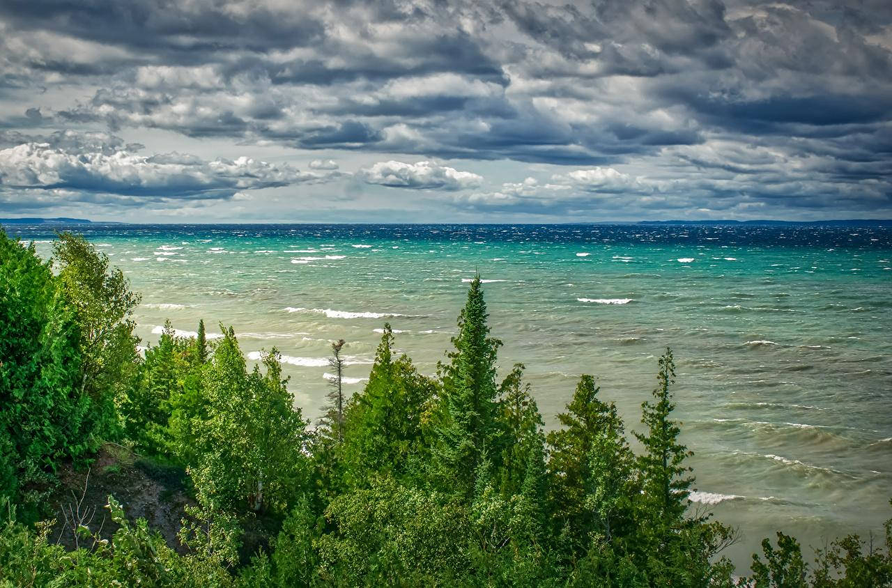Michigan, turquoise lake, lush green pine trees, HD Desktop Wallpaper