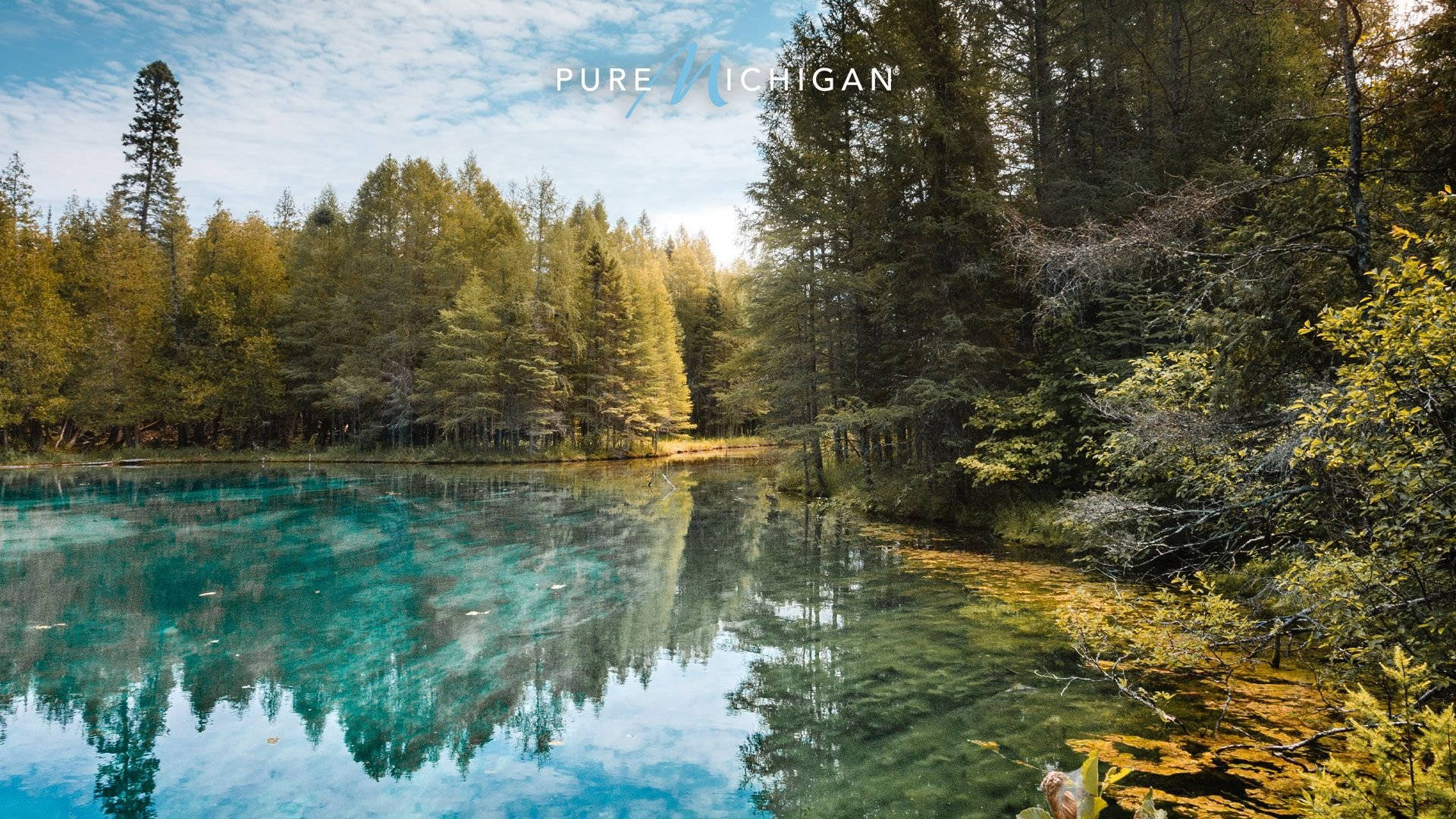 turquoise lake, tall pine trees, partly cloudy sky, Full HD Desktop Wallpaper