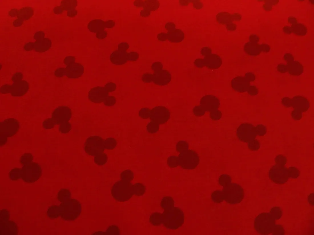Mickey Mouse Ears