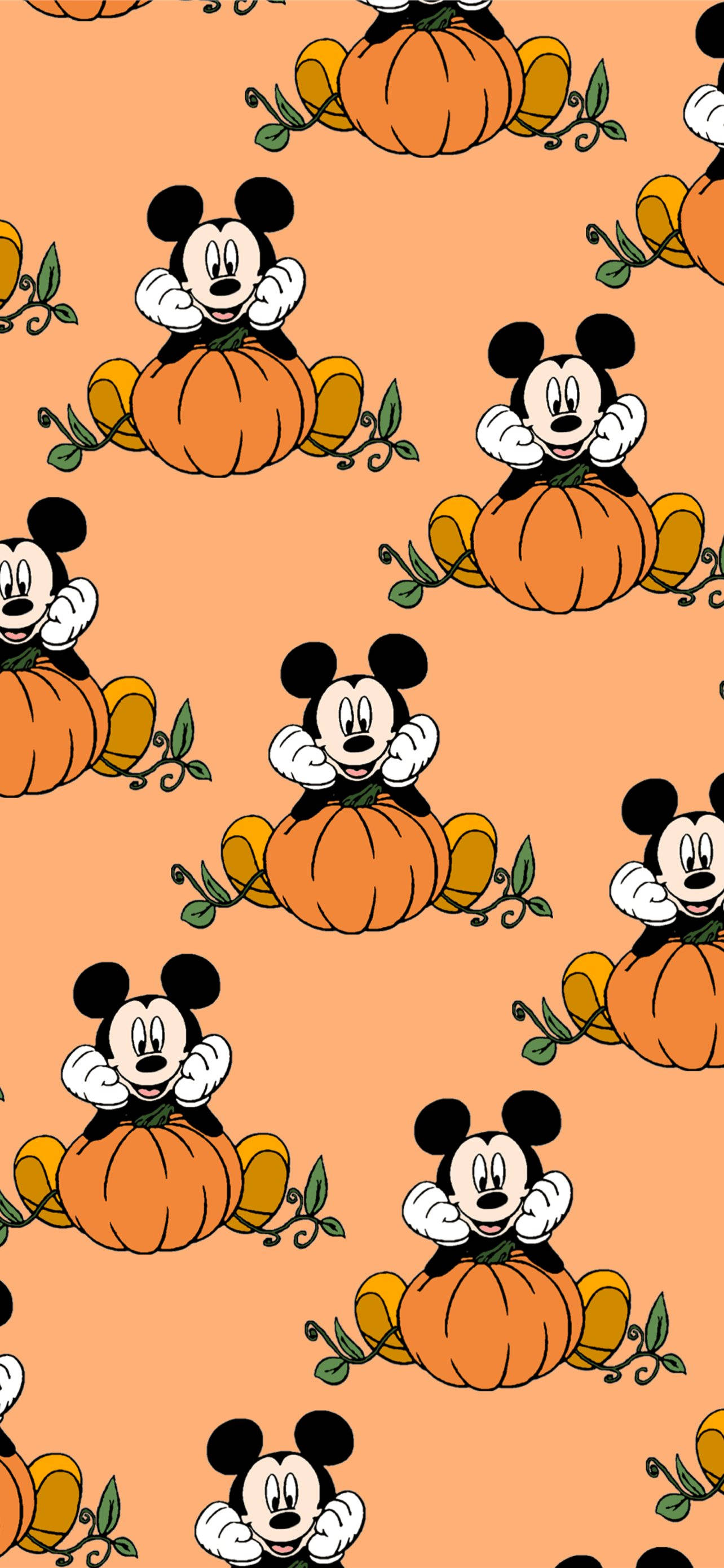 Mickey Mouse, pumpkin, orange, 2K Phone Wallpaper