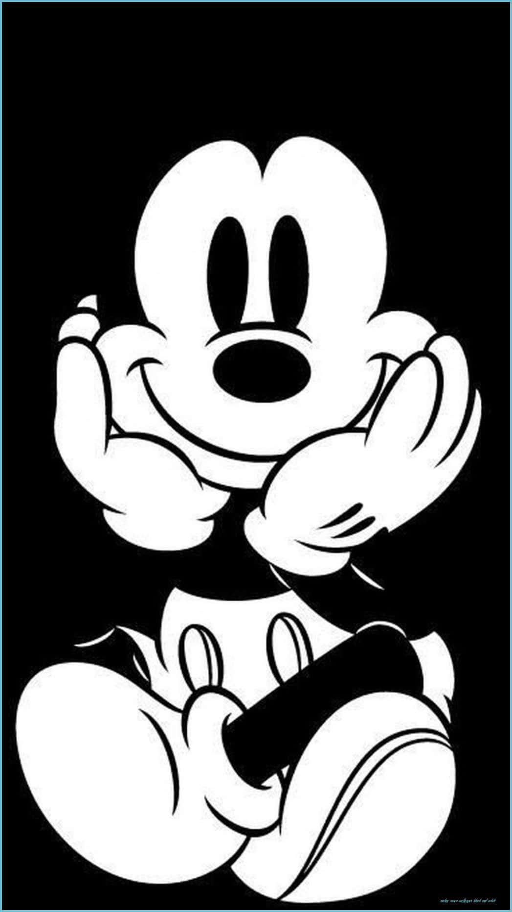 Mickey Mouse, black and white, bold, HD Phone Wallpaper