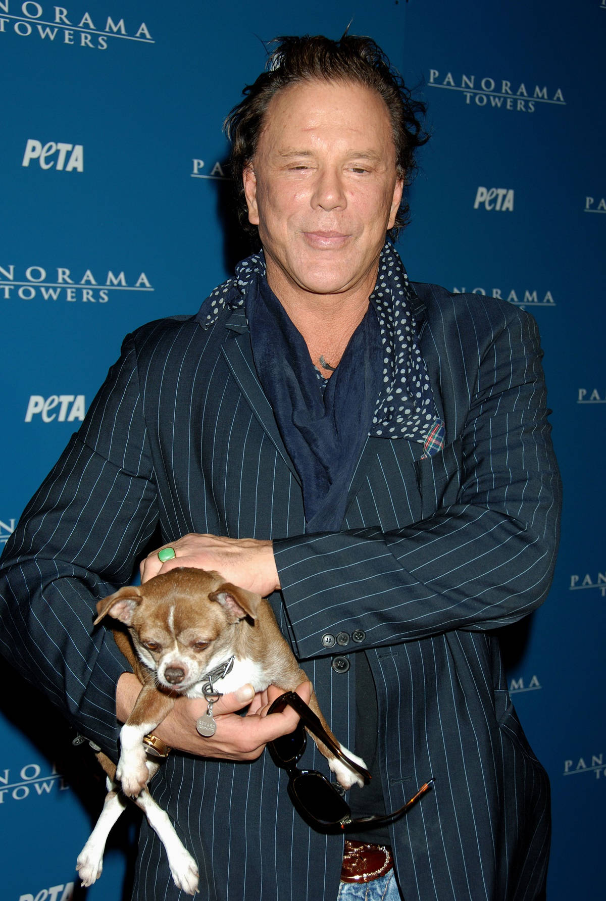 Mickey Rourke, pinstripe suit, chihuahua, HD Phone Wallpaper