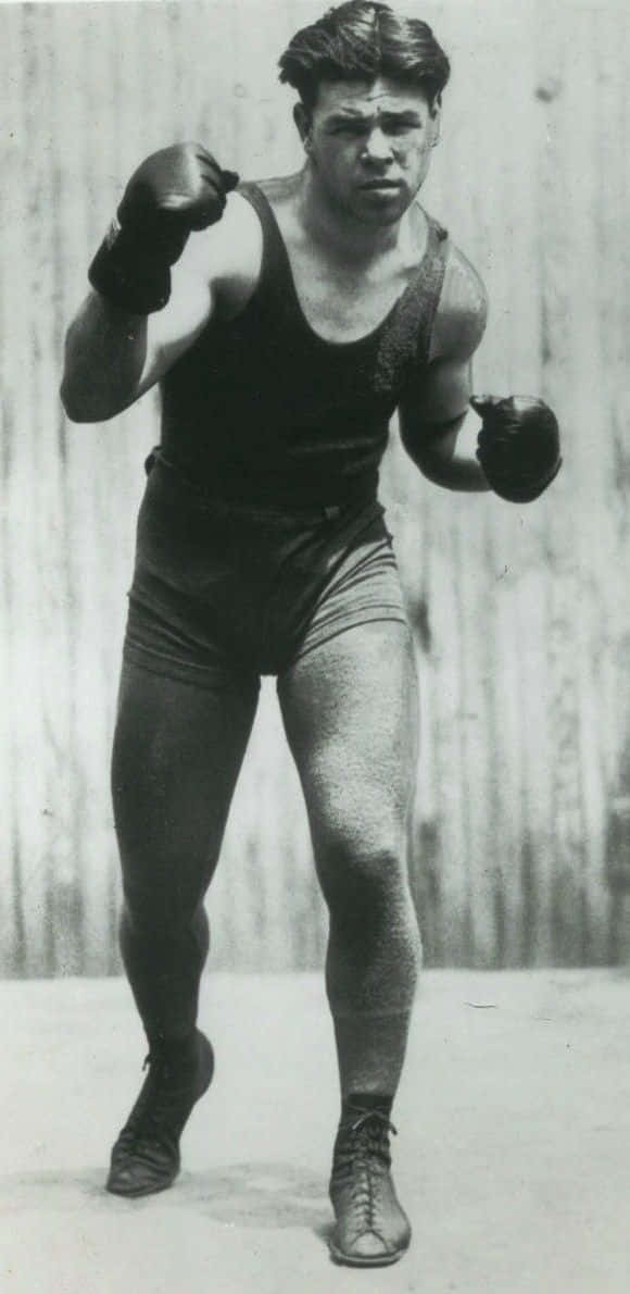 Mickey Walker, boxing stance, gloves, SD Phone Wallpaper