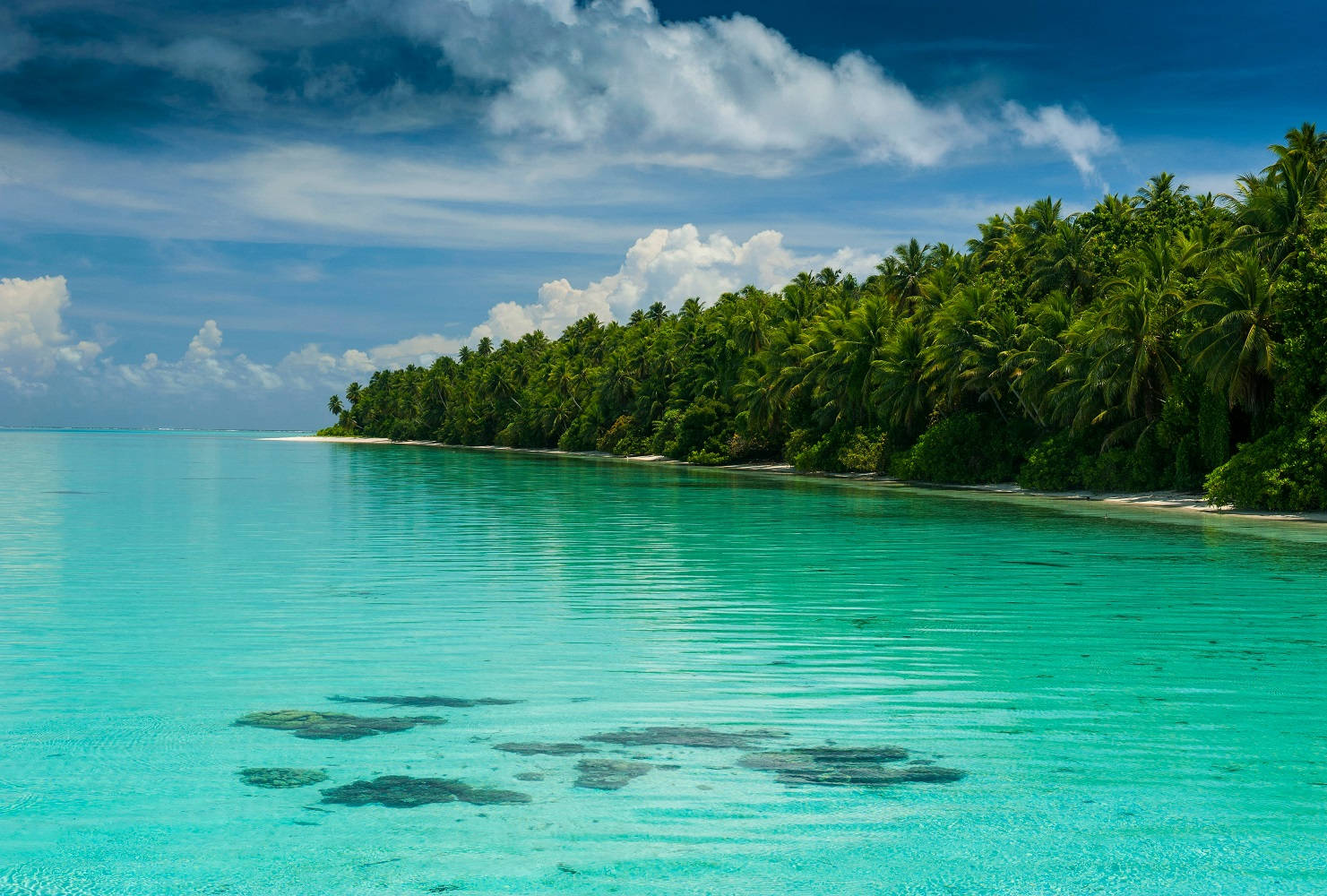 Micronesia, green sea water, white sand beach, HD Desktop Wallpaper