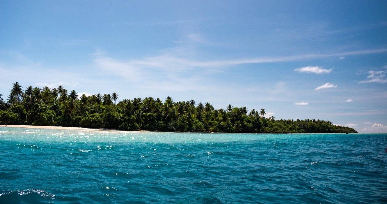 Micronesia, tropical island, lush palm trees, HD Desktop Wallpaper