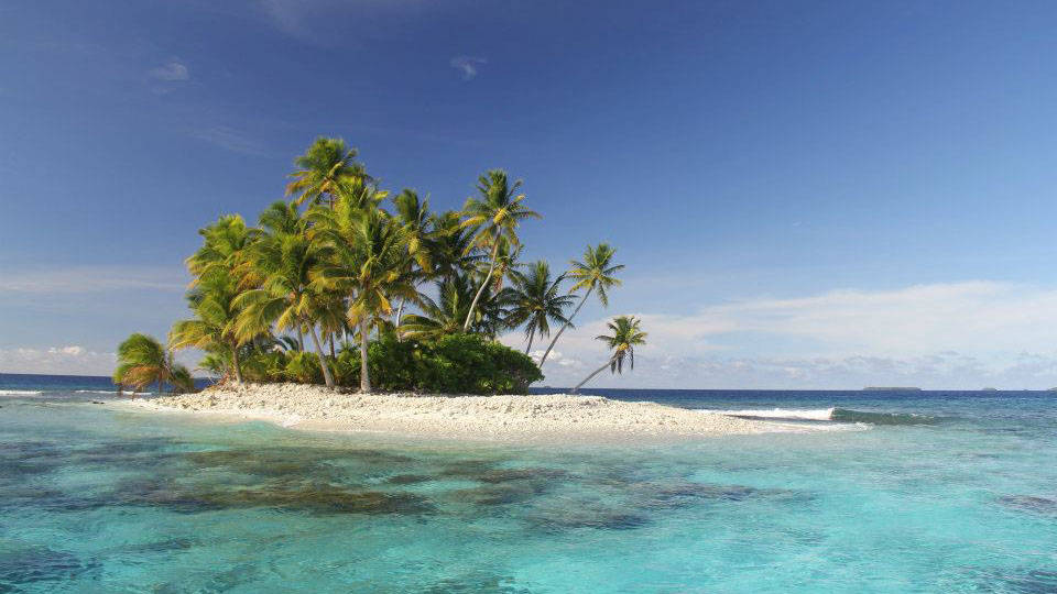 Micronesia, small island, coconut trees, SD Desktop Wallpaper