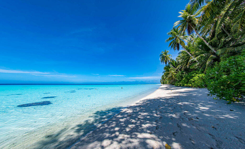 Micronesia, white sandy beach, turquoise water, SD Desktop Wallpaper