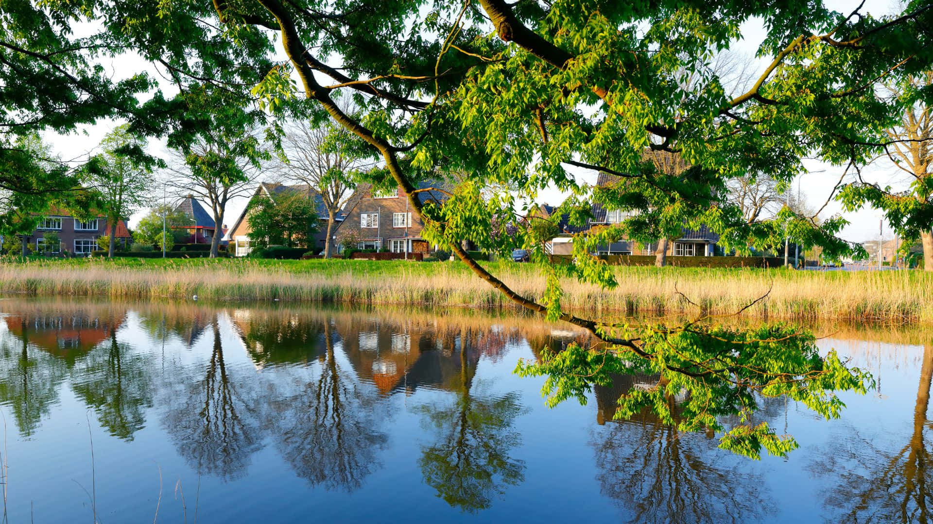 Middelburg, waterfront, pond, Full HD Desktop Wallpaper
