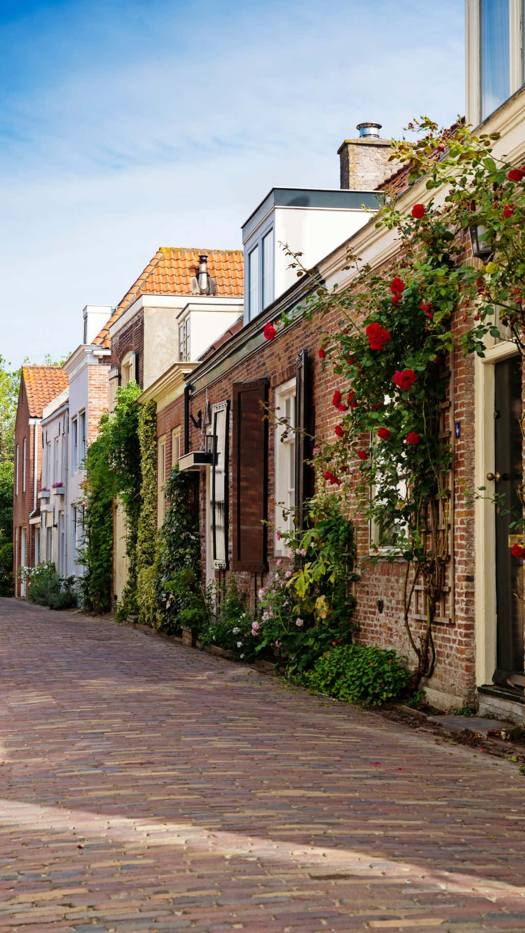Middelburg, cobblestone street, colorful brick houses, Full HD Phone Wallpaper