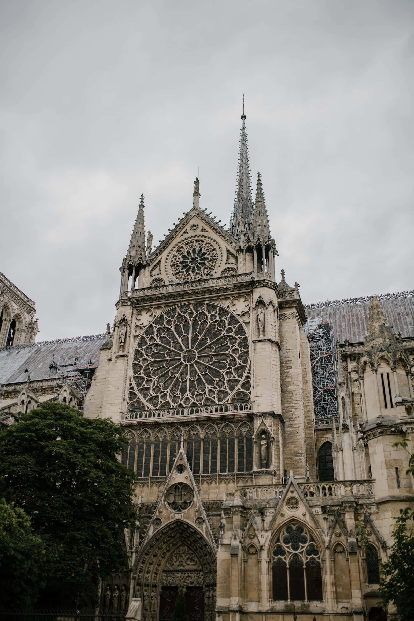 Middle Ages, gothic cathedral, intricate stone carvings, Full HD Phone Wallpaper