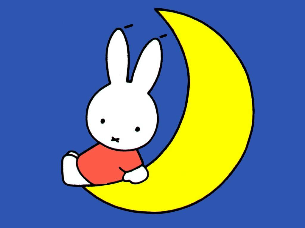 Miffy, white cartoon rabbit, red shirt, SD Desktop Wallpaper