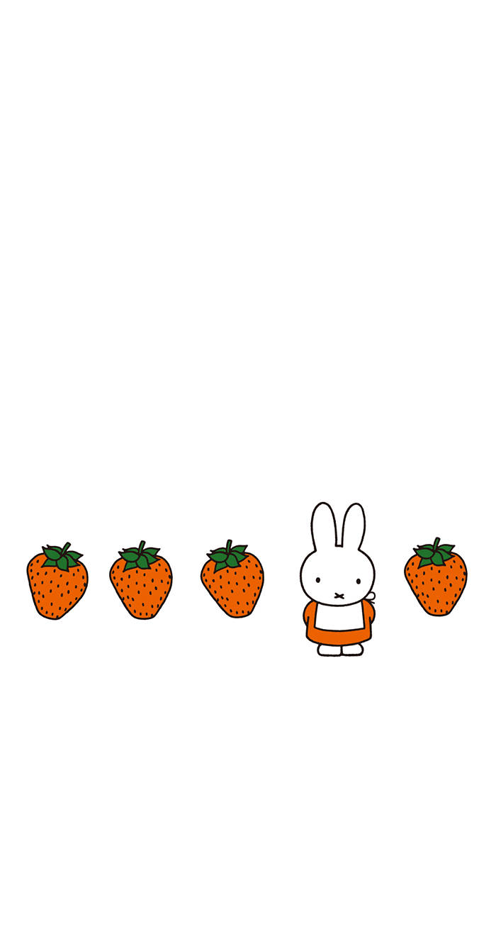 Miffy, strawberries, orange outfit, HD Phone Wallpaper