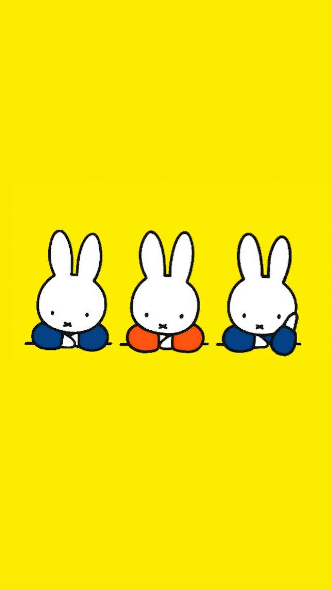 Miffy, white rabbits, blue and orange outfits, Full HD Phone Wallpaper