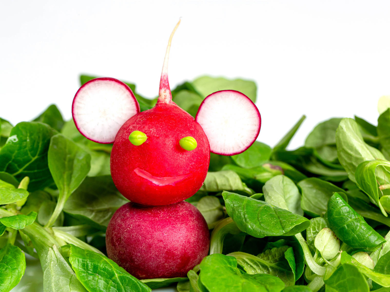 wacky globe radish mouse, radish mouse, radishes, HD Desktop Wallpaper