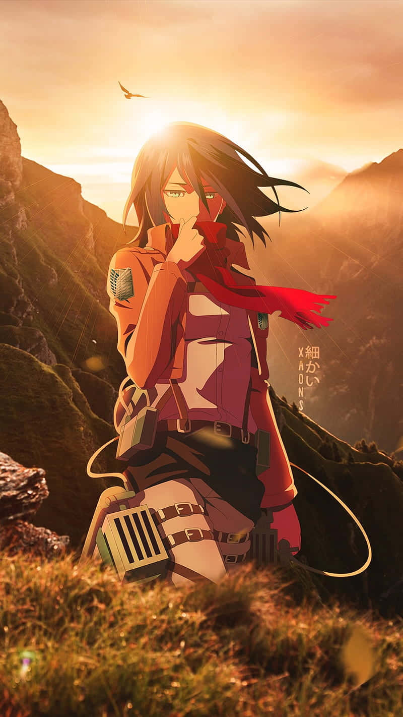 Mikasa Ackerman, sunset, red gear, HD Phone Wallpaper