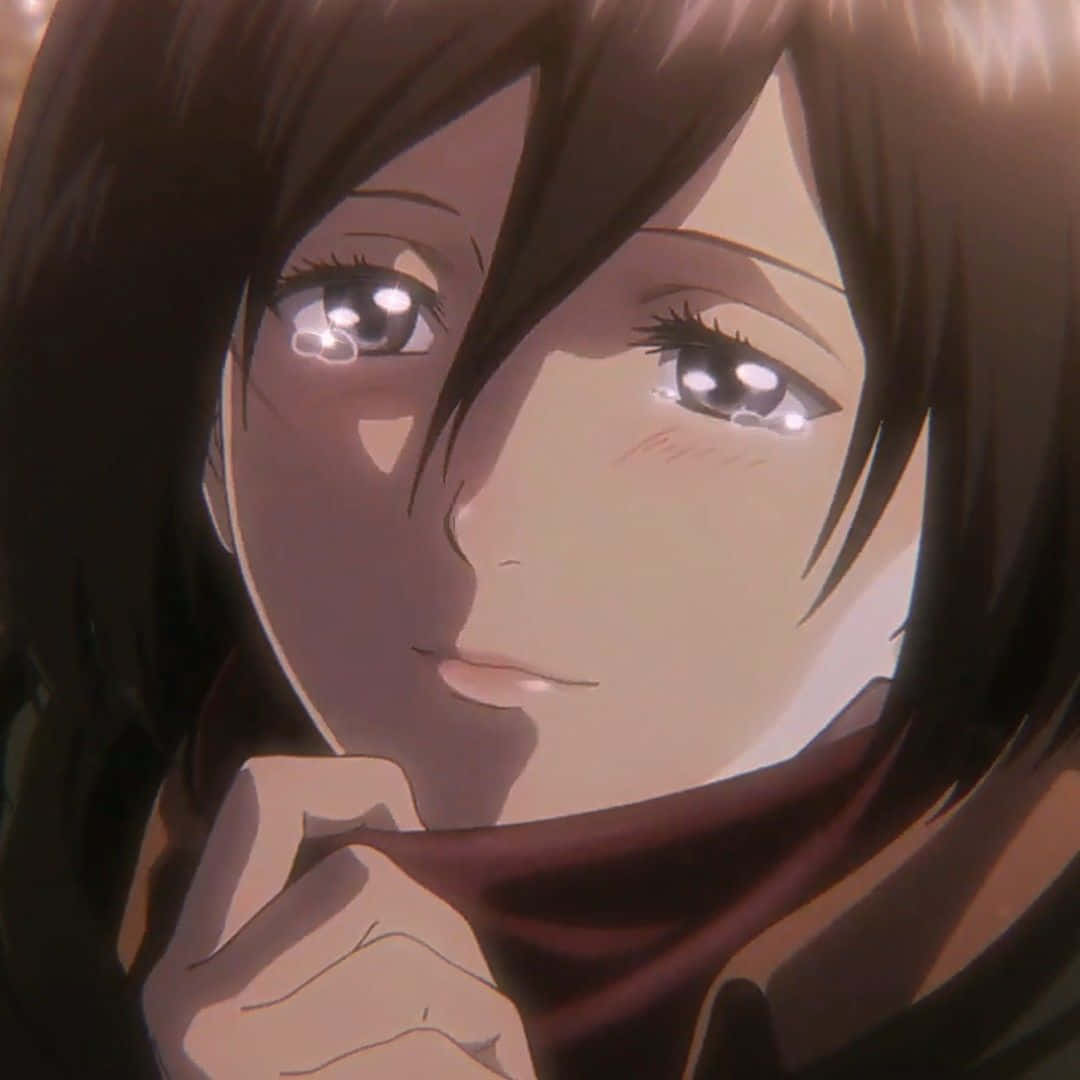 Mikasa Ackerman, brown hair, tear-filled eyes, SD Desktop Wallpaper