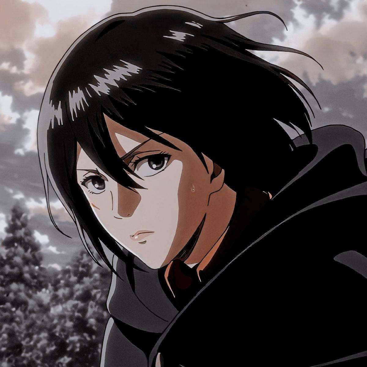Mikasa Ackerman, black hair, tear, SD Desktop Wallpaper