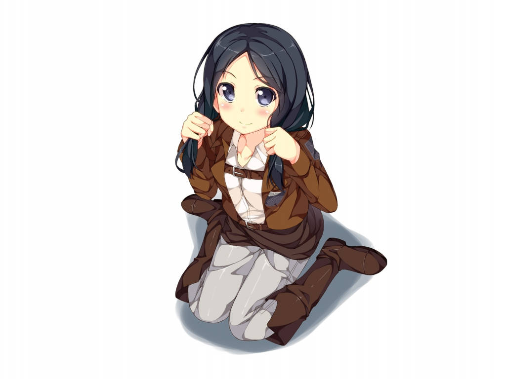 Mikasa, cute anime girl, dark hair, SD Desktop Wallpaper