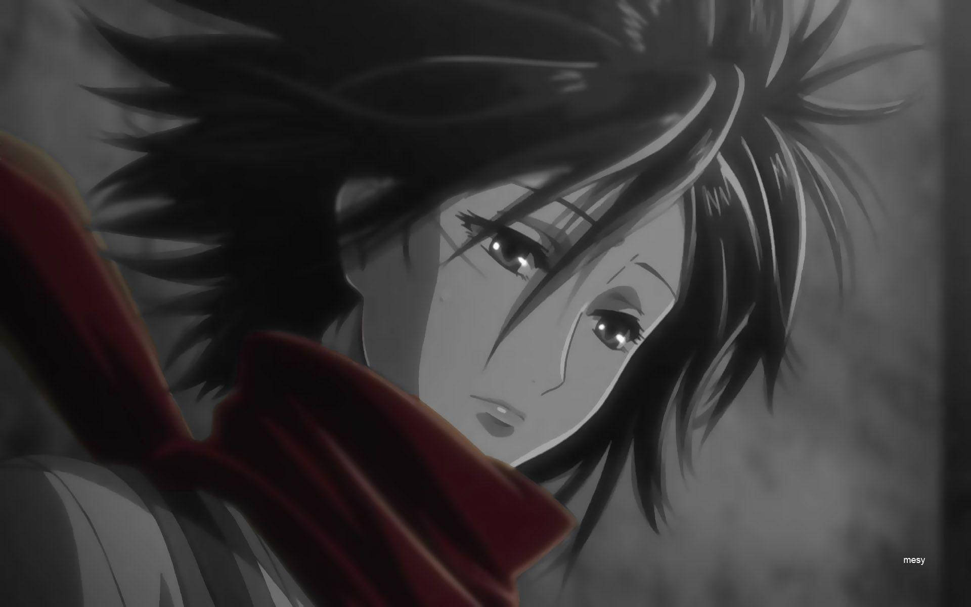 Mikasa, dark hair, red scarf, Full HD Desktop Wallpaper