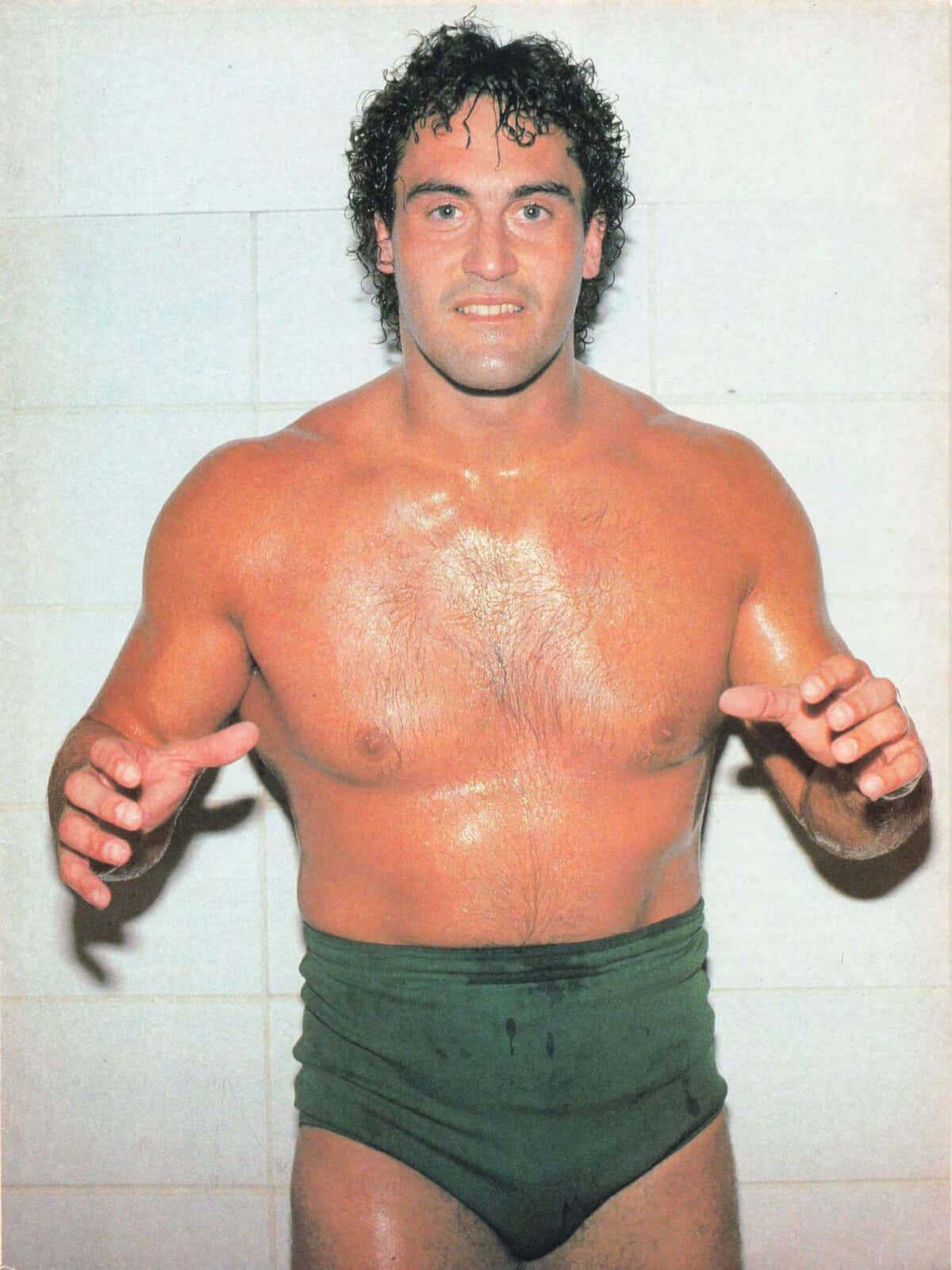 Mike Rotunda, wrestler, green trunks, HD Phone Wallpaper
