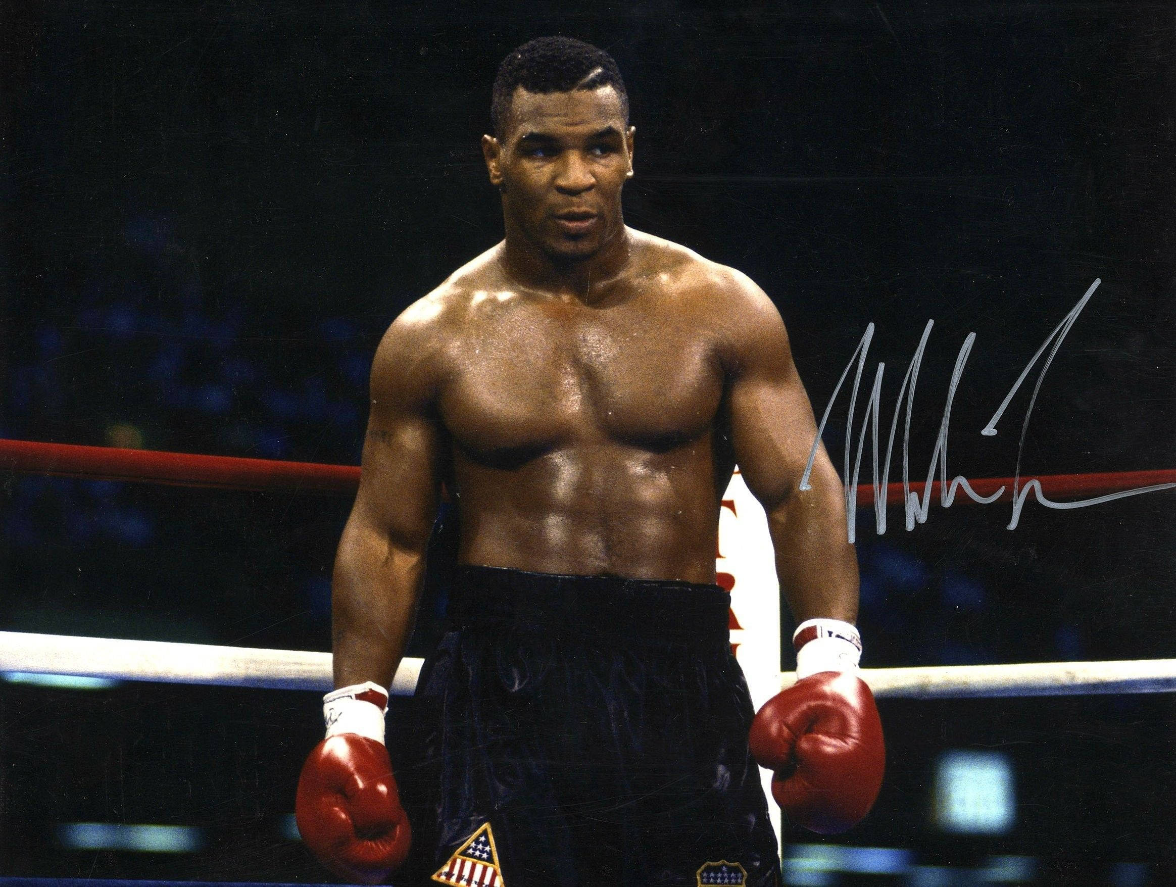 Mike Tyson, 4K, red gloves, Full HD Desktop Wallpaper