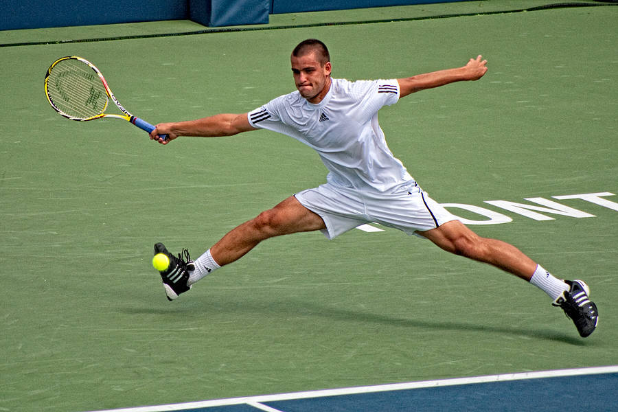 Mikhail Youzhny, green court, yellow ball, SD Desktop Wallpaper