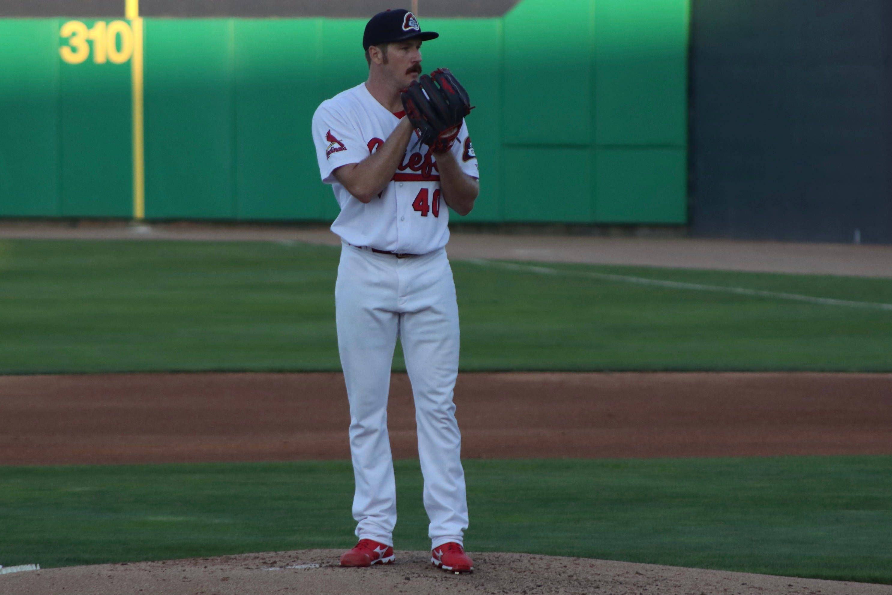 Miles Mikolas, glove, baseball pitcher, 2K Desktop Wallpaper