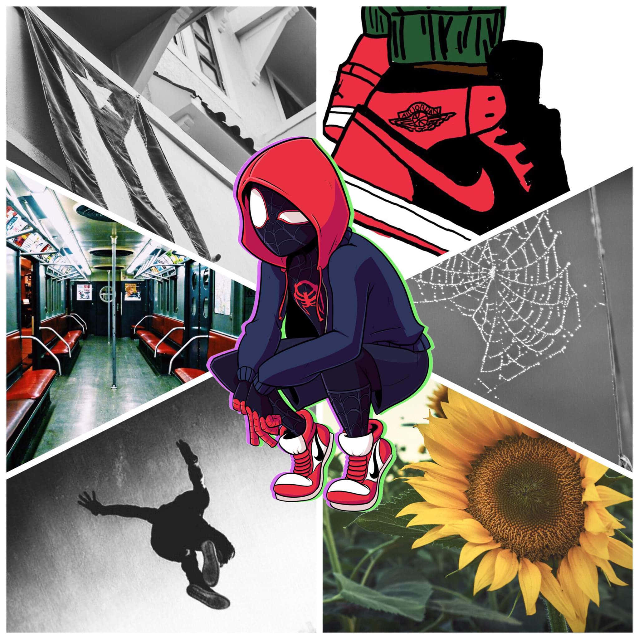 Miles Morales, red hooded Spider-Man, sunflower, Full HD Desktop Wallpaper