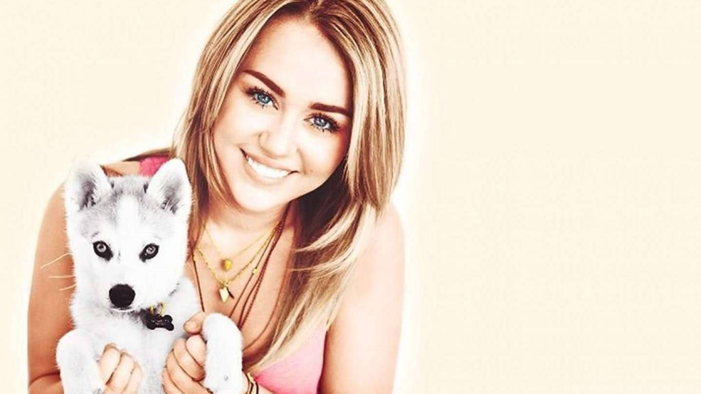 Miley Cyrus, fluffy white husky puppy, blonde hair, HD Desktop Wallpaper