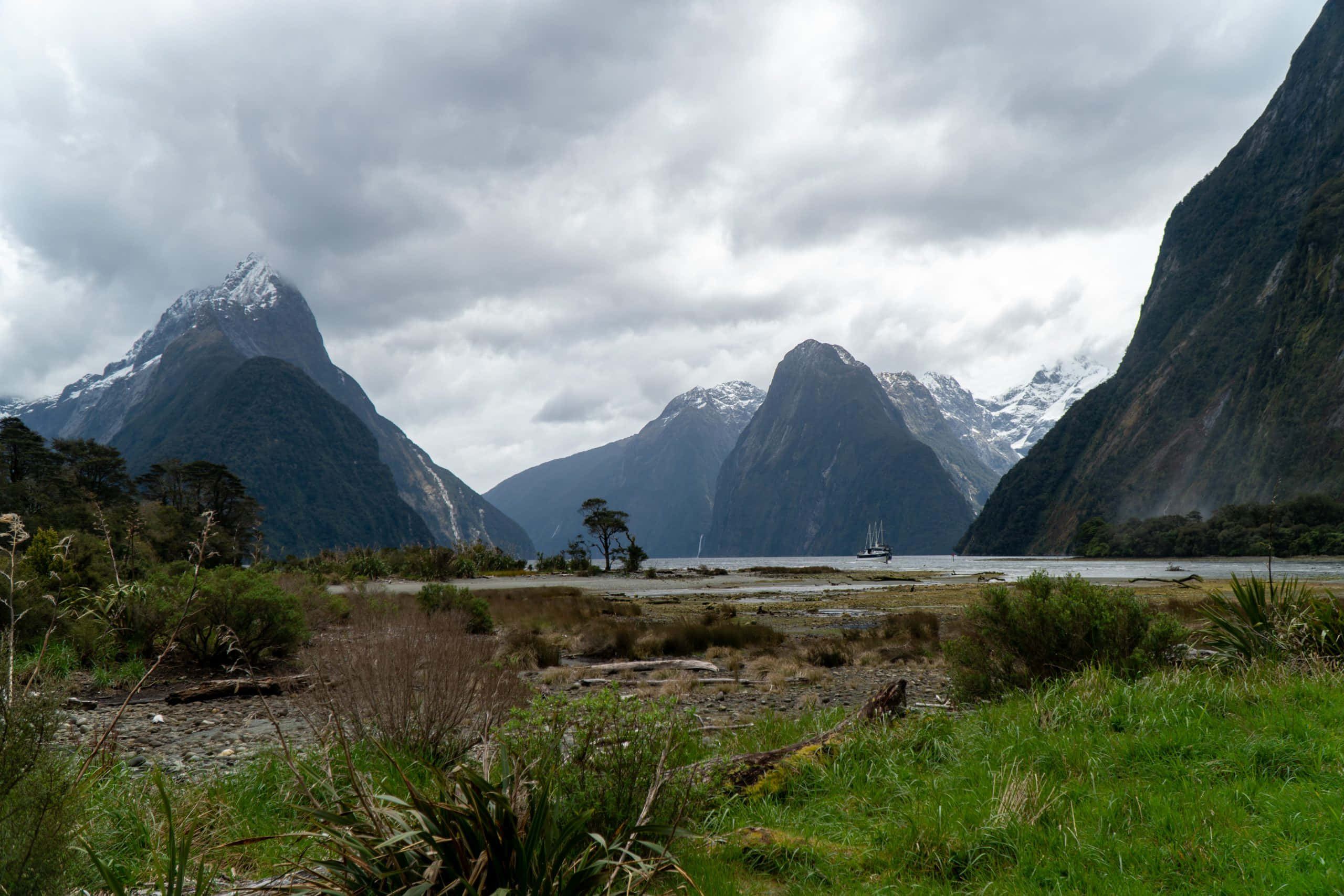 Milford Sound, grassy plains, misty fjord, 2K Desktop Wallpaper