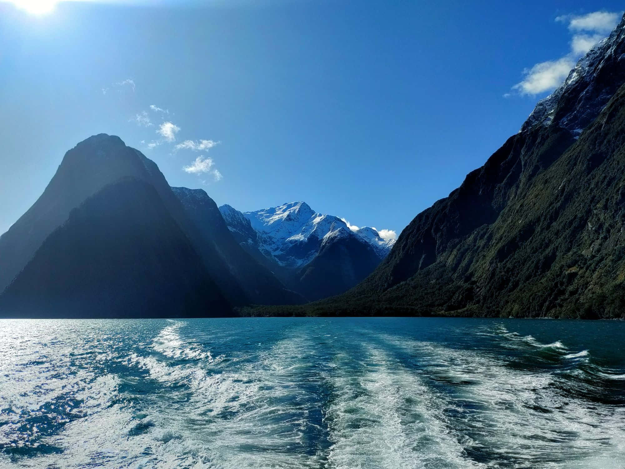 Milford Sound, turquoise waters, towering forested mountains, Full HD Desktop Wallpaper