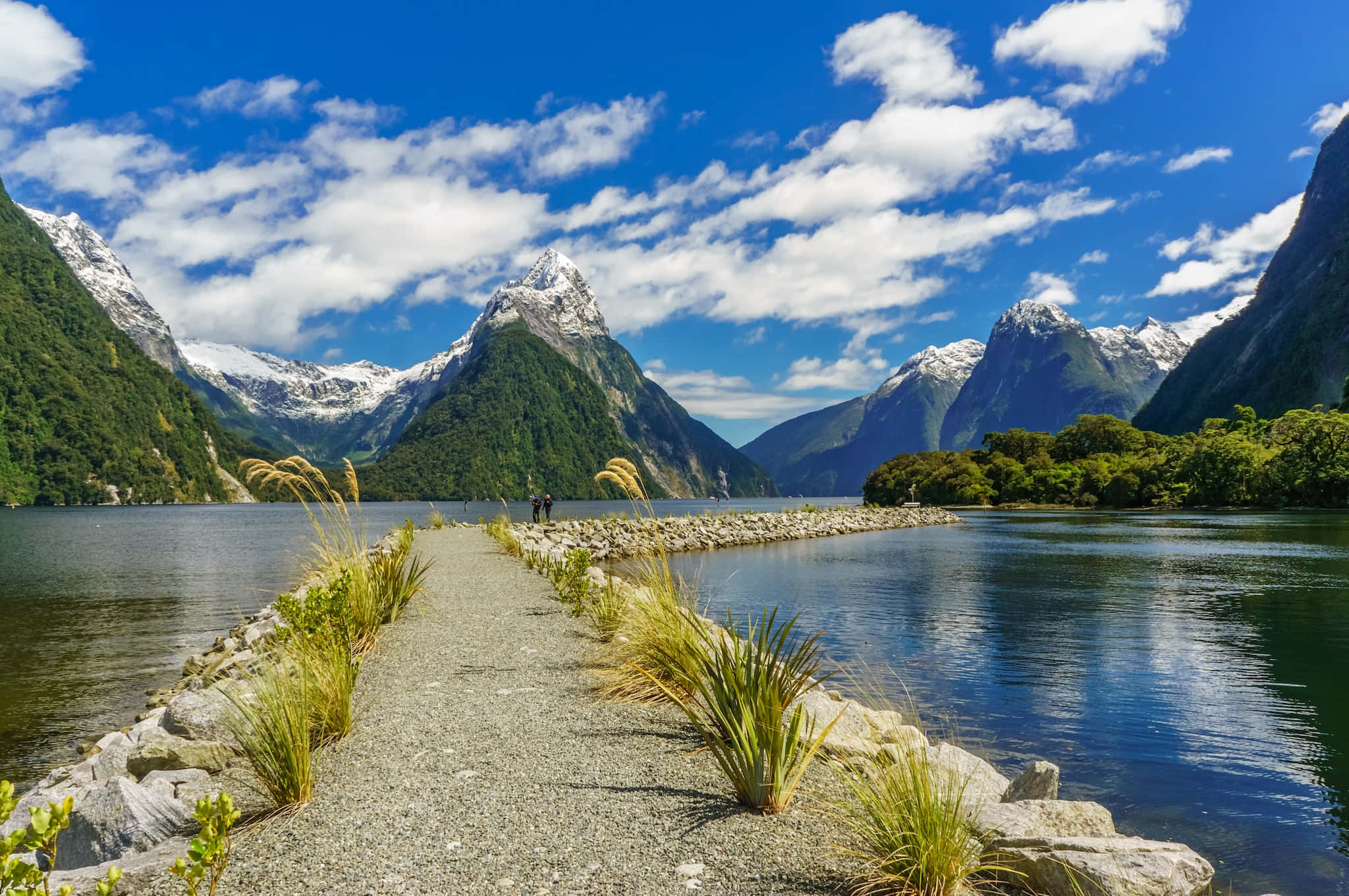 Milford Sound, gravel path, grass, Full HD Desktop Wallpaper