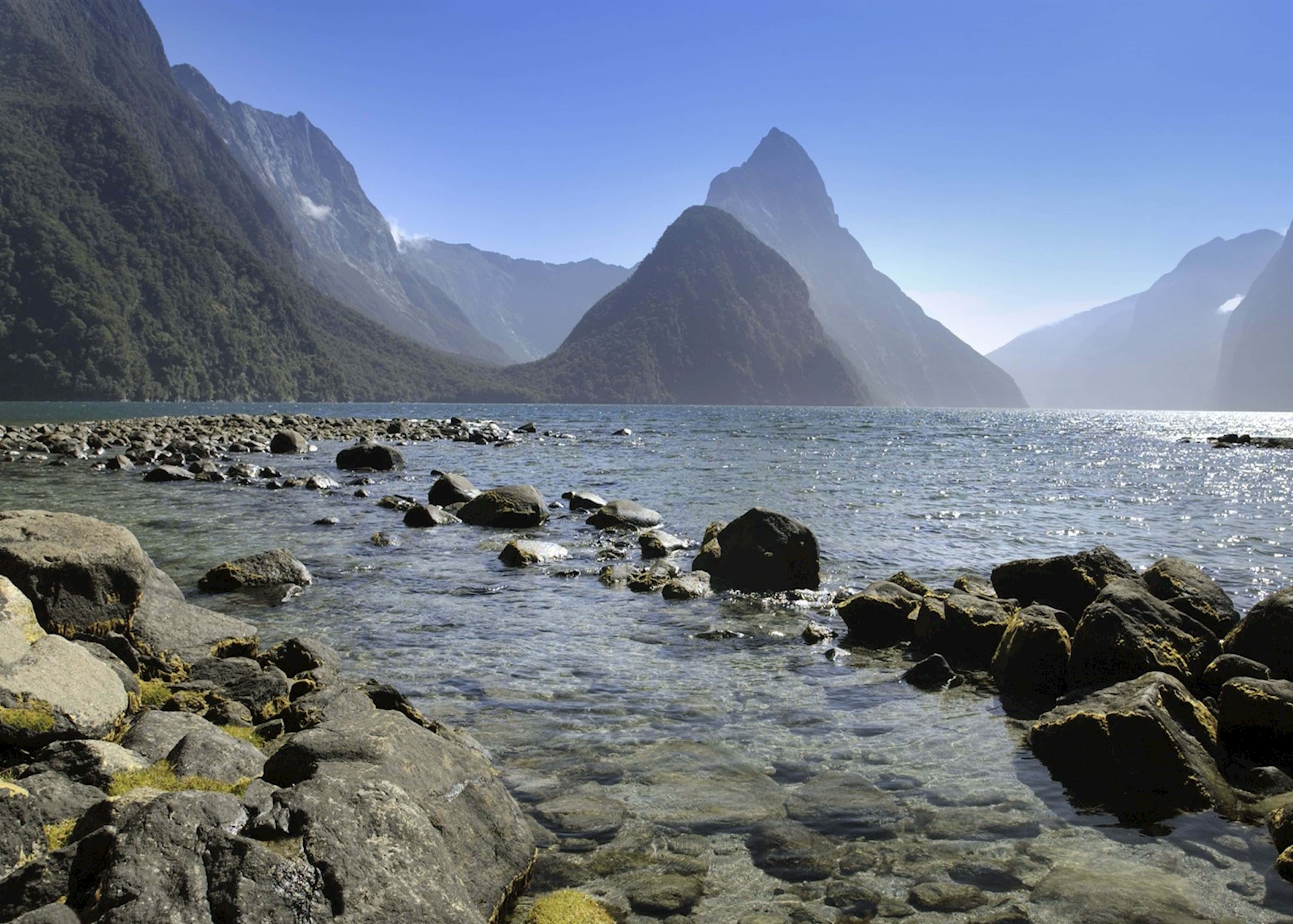 Milford Sound, rocky shores, towering forested mountains, 4K Desktop Wallpaper