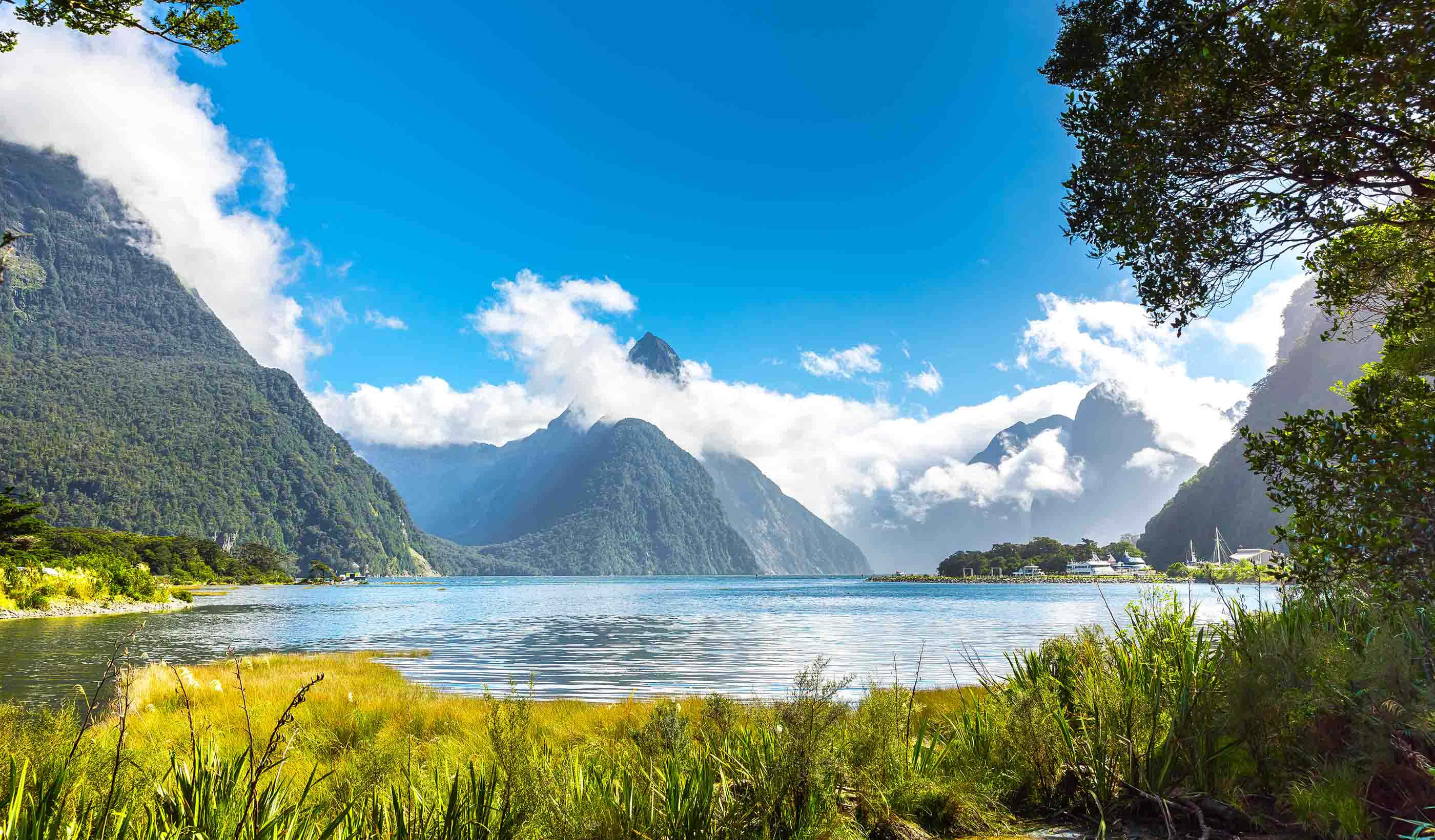 Milford Sound, green grasses, towering green mountains, 2K Desktop Wallpaper
